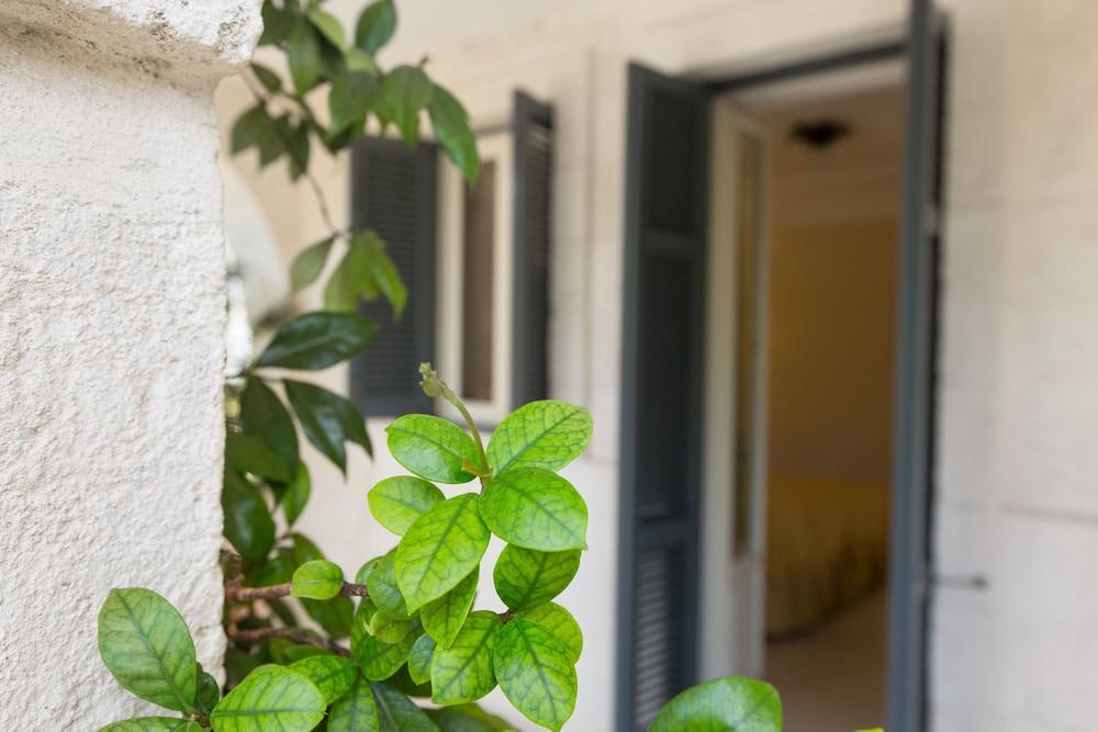 Masseria San Domenico サヴェッレトリ エクステリア 写真
